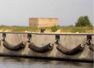 Bacino di Cylindrial dell'abrasione e cuscino ammortizzatore di gomma marini resistenti del porto
